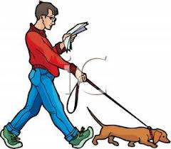 boy reading while walking dog 